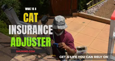 Unraveling the Role of a Cat Insurance Adjuster: An Expert's Guide