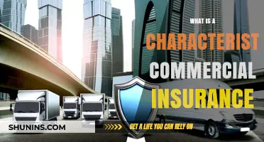Commercial Insurance: Protecting Your Business' Unique Traits