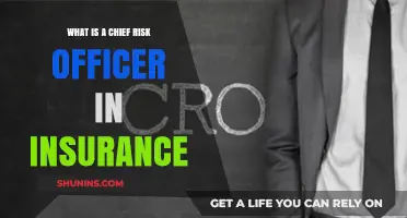 Risk Management: Chief Risk Officer's Role in Insurance