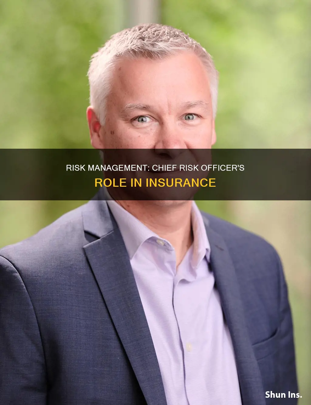 what is a chief risk officer in insurance