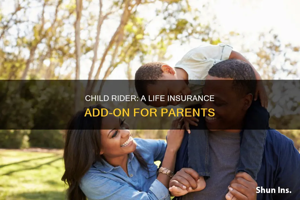 what is a child rider on life insurance