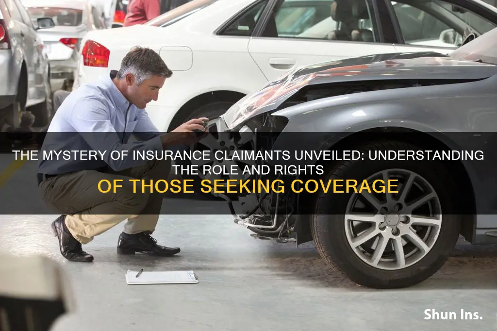 what is a claimant in insurance terms