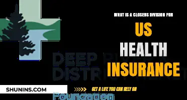 Understanding Closers Division in US Health Insurance: Roles and Impact