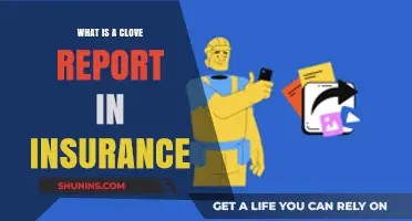 Understanding Insurance: Clove Report Basics