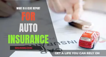 Understanding Clue Reports: Auto Insurance Claims Insights