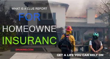 Homeowners Insurance: Understanding the CLUE Report