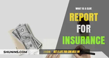 Understanding Insurance: CLUE Report Basics