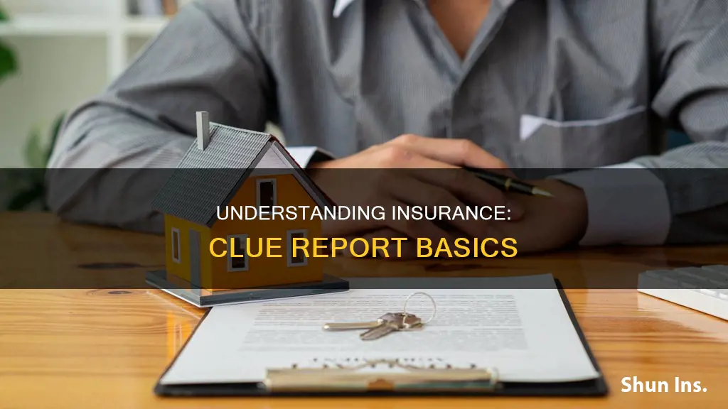 what is a clue report for insurance