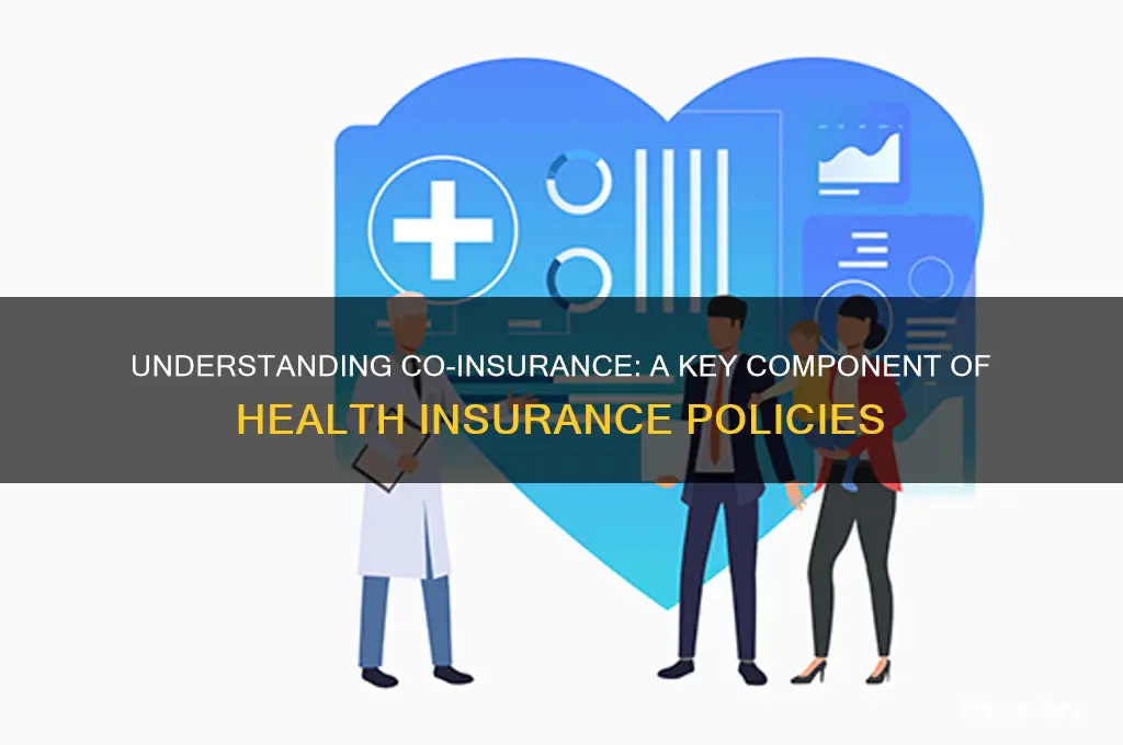 what is a co-insurance in health insurance