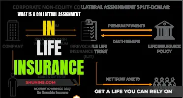 Understanding Collateral Assignment in Life Insurance Policies