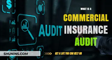Understanding Commercial Insurance Audits: What, Why, and How