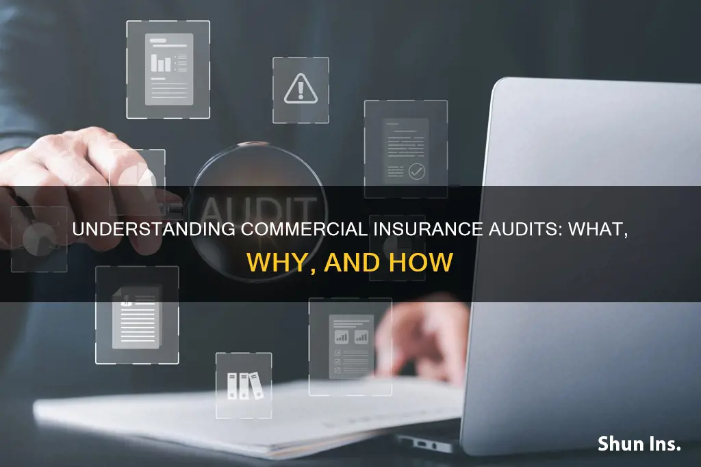 what is a commercial insurance audit