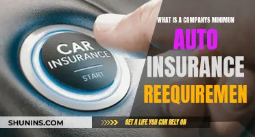 Auto Insurance: Minimum Company Requirements and You