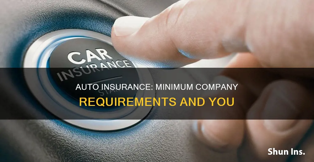 what is a companys minimun auto insurance reequirements