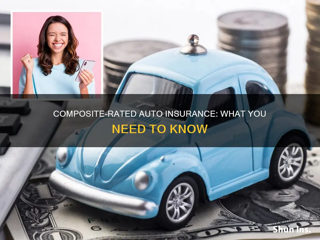 what is a composite rated auto insurance policy