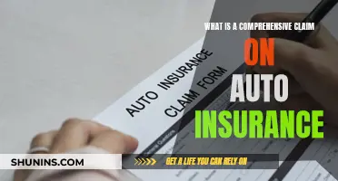 Understanding Comprehensive Auto Insurance Claims and Coverage