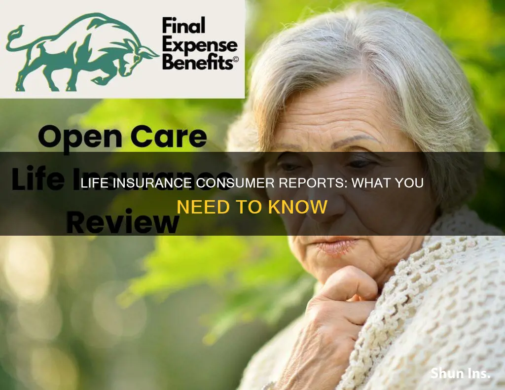 what is a consumer report for life insurance