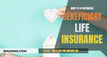 Who Gets Your Life Insurance Payout: Contingent Beneficiaries Explained