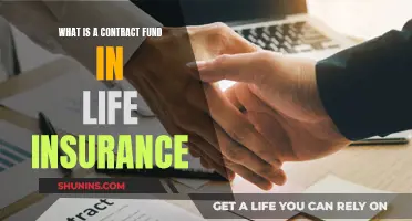 Contract Fund Basics: Life Insurance Explained