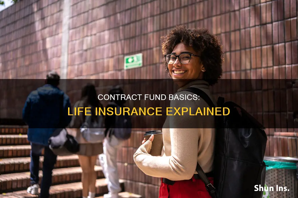 what is a contract fund in life insurance