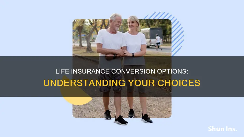 what is a conversion option on life insurance