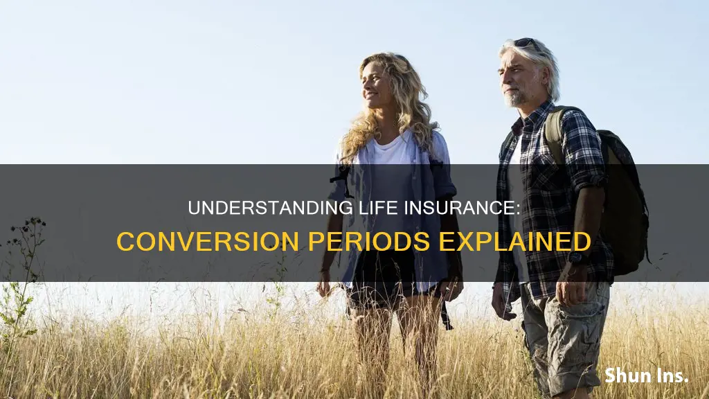 what is a conversion period in life insurance