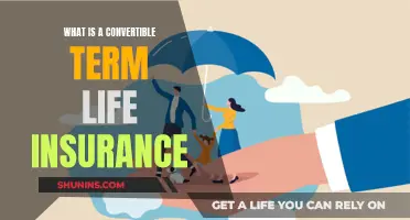 Term Life Insurance: Convertible, Flexible Protection for Your Future