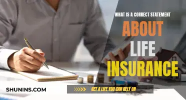 Life Insurance: Understanding the Basics and Beyond