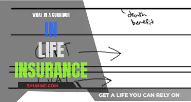 Corridor Life Insurance: Understanding the Policy and Its Benefits