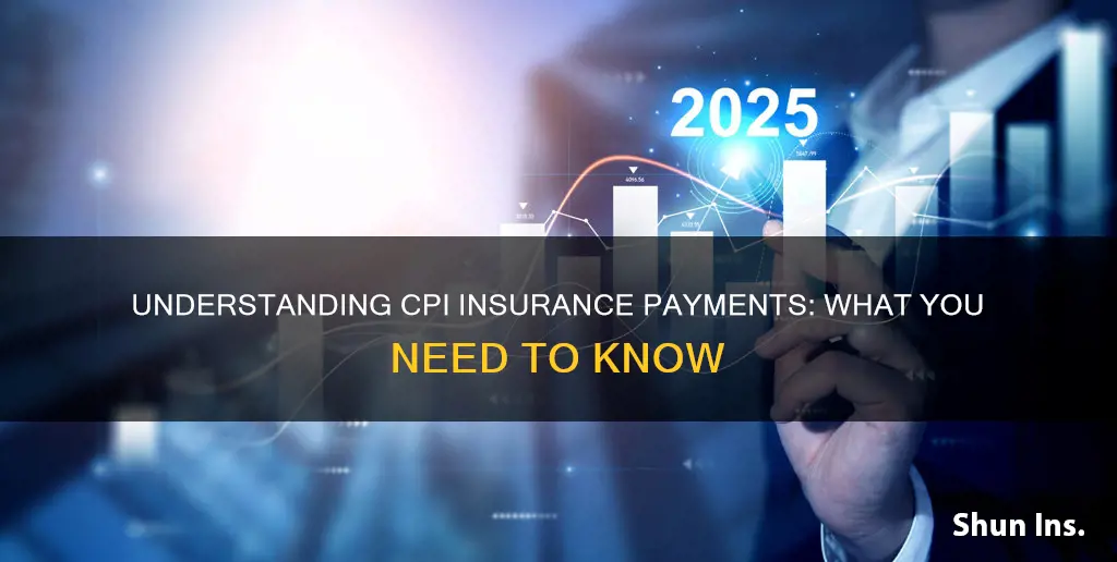 what is a cpi insurance payment