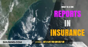 Understanding CRE Reports in Insurance: What You Need to Know