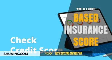 Understanding Credit-Based Insurance Scores: How They Impact Your Premiums