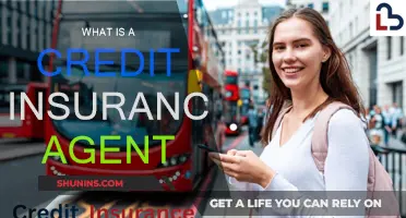 Credit Insurance Agent: A Vital Financial Role