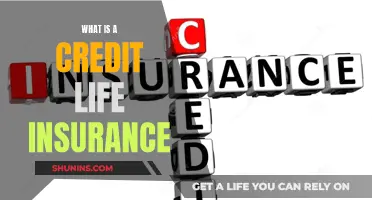 Credit Life Insurance: Protecting Your Financial Security