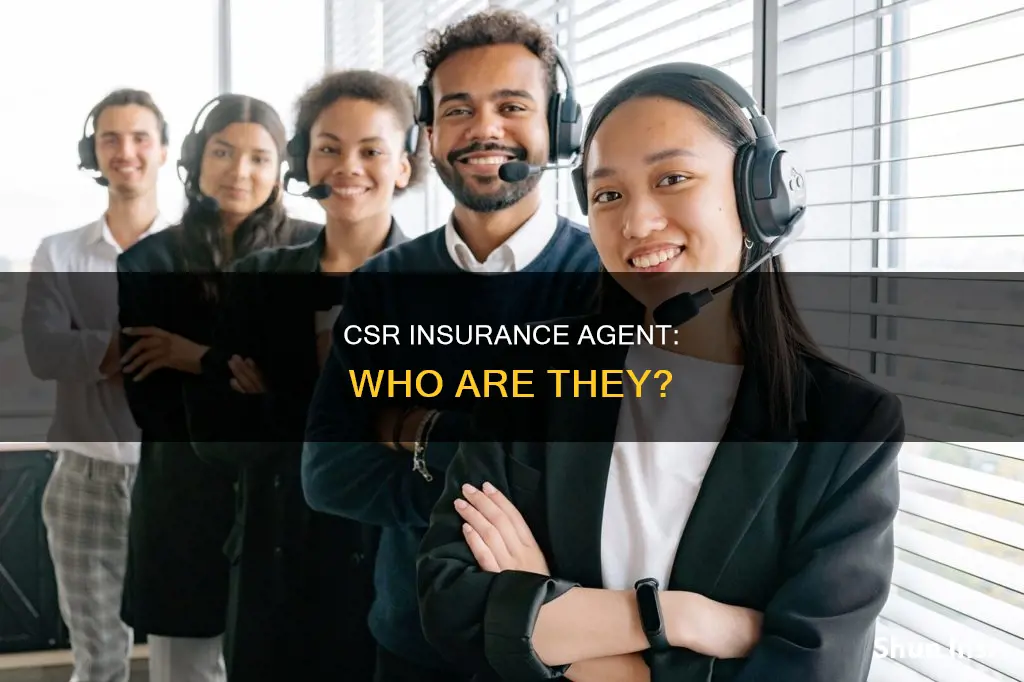 what is a csr insurance agent