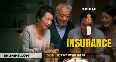 Understanding D&D Insurance: Coverage, Benefits, and Why It Matters