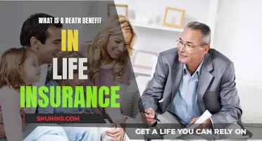 Understanding Life Insurance: Death Benefits Explained