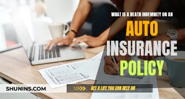 Auto Insurance: Death Indemnity Explained