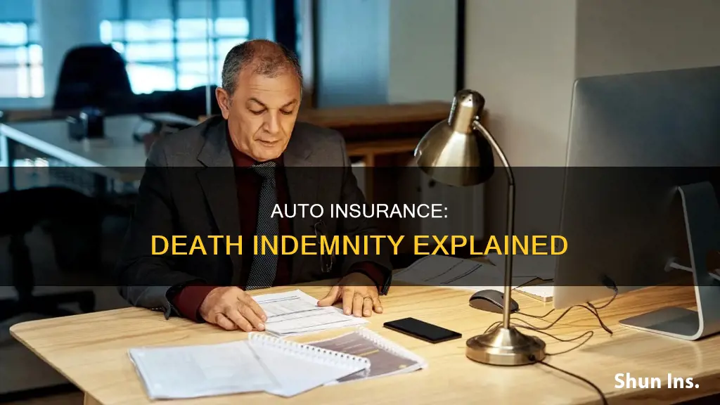 what is a death indemnity on an auto insurance policy