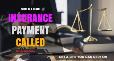 Understanding Death Benefit Payouts: What's in a Name?