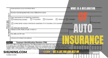 Auto Insurance Declaration: What It Is and Why It's Important