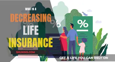 Life Insurance: Decreasing Coverage, Increasing Peace of Mind