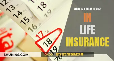 Delay Clauses: Understanding Life Insurance Policies Better