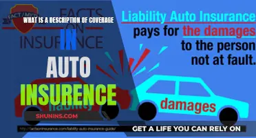 Understanding Auto Insurance Coverage Descriptions