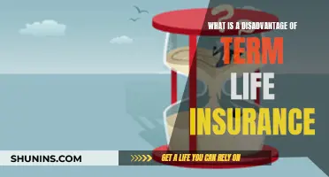 Term Life Insurance: A Costly Disadvantage?