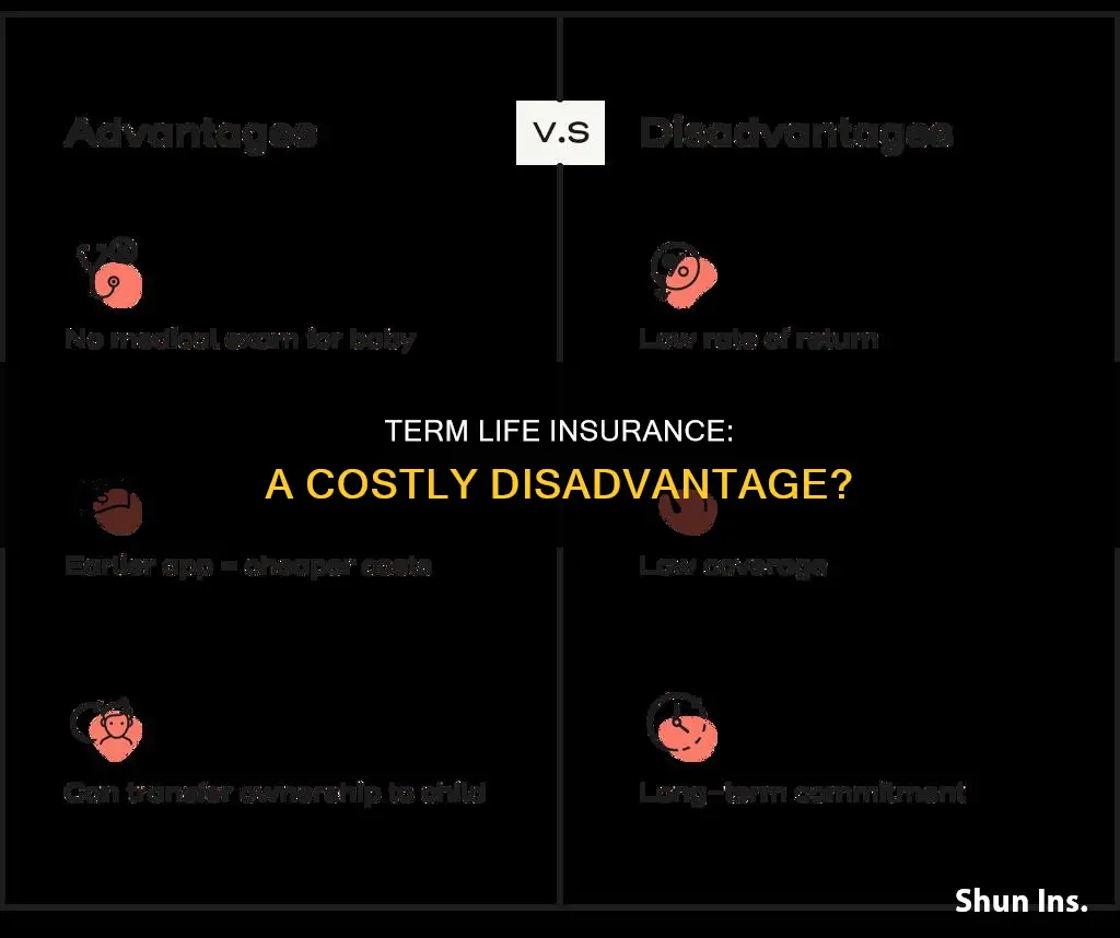 what is a disadvantage of term life insurance