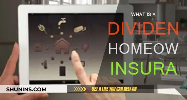 Understanding Dividend Homeowners Insurance: Benefits and Drawbacks