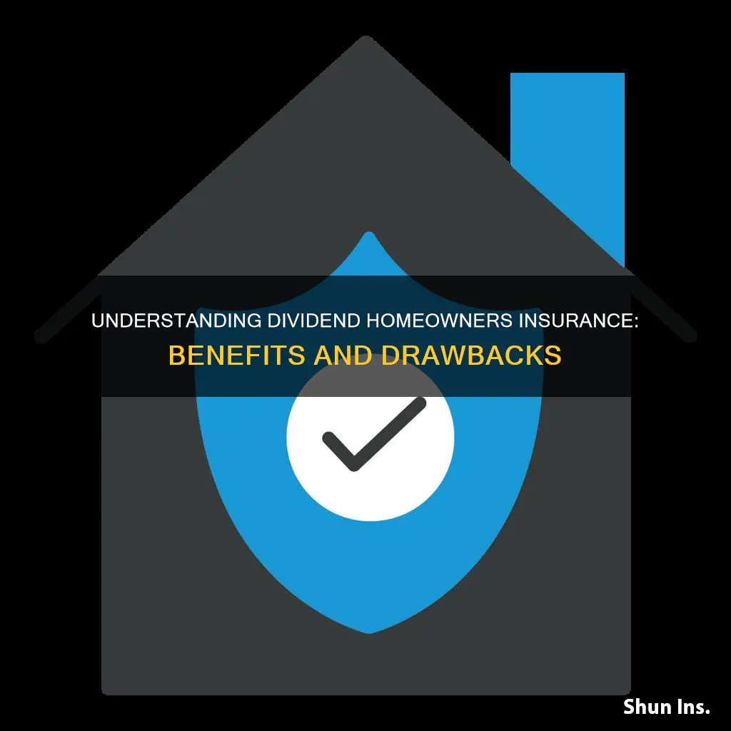 what is a dividend homeowners insurance