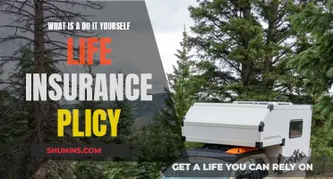 Life Insurance: DIY Policy Options and Benefits