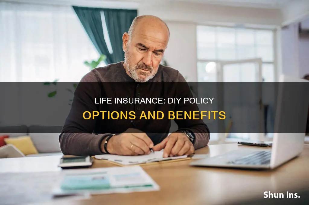 what is a do it yourself life insurance plicy